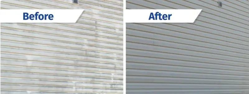 Before and after pressure washing of house siding in Asheville showing algae removal